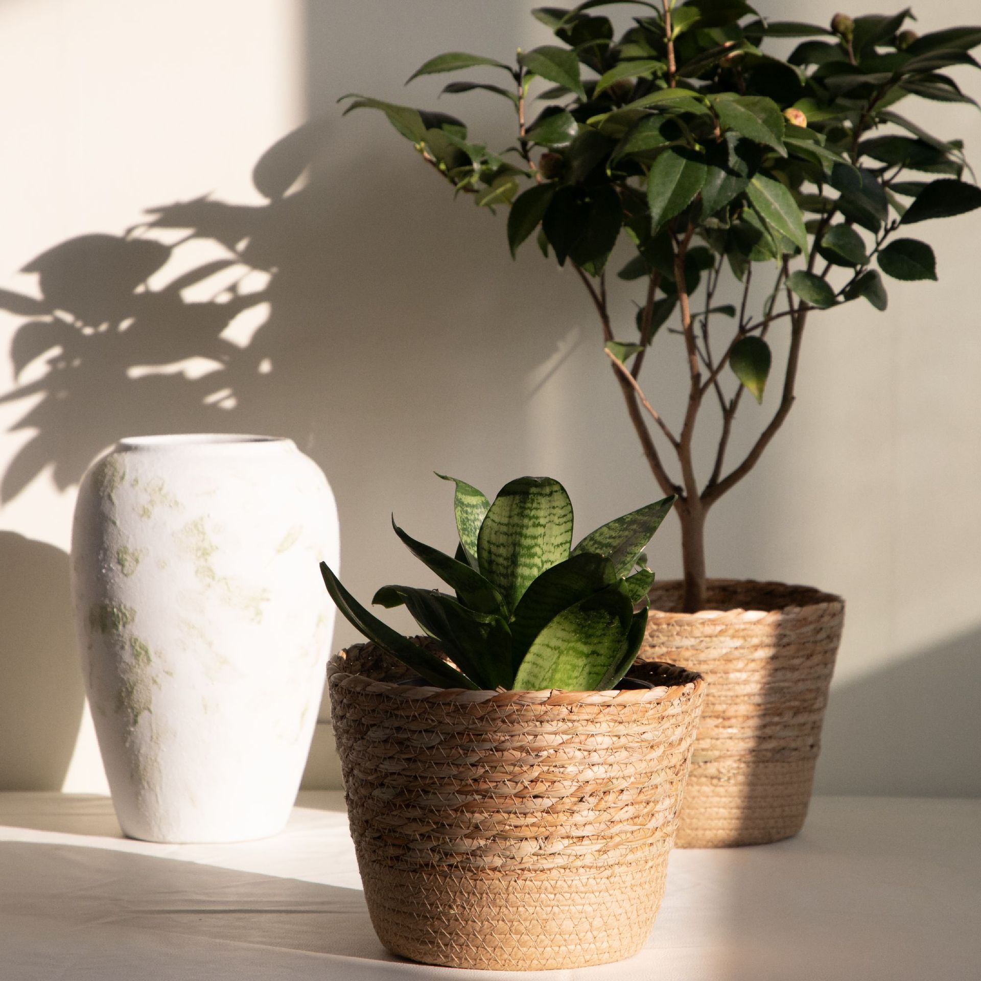 多目的織物収納バスケット、素朴な装飾的な花植木鉢（ギフト用） - Rattan Plant Basket のレビューと価格